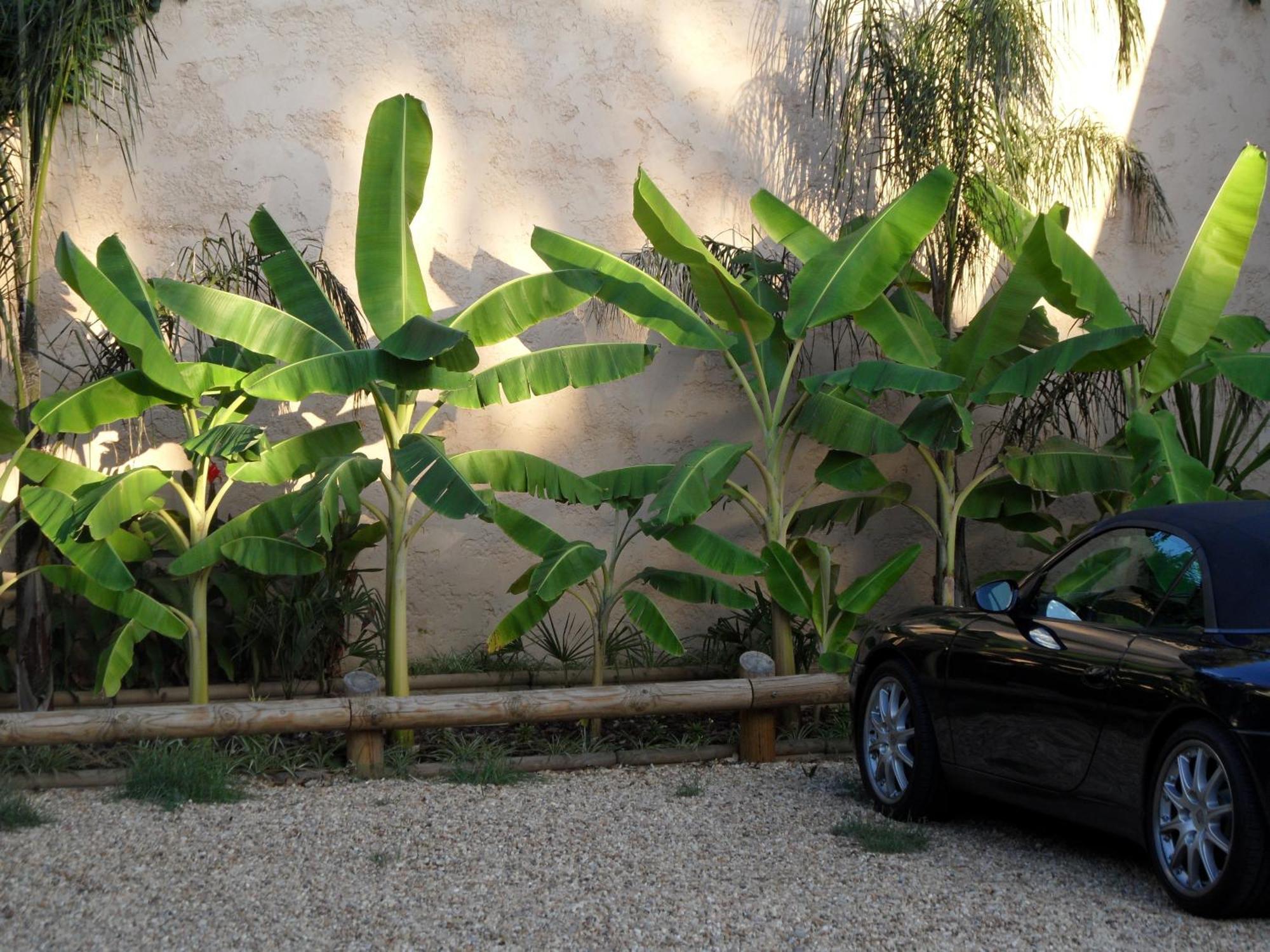 Residence Veles Plage Cannes Exterior photo
